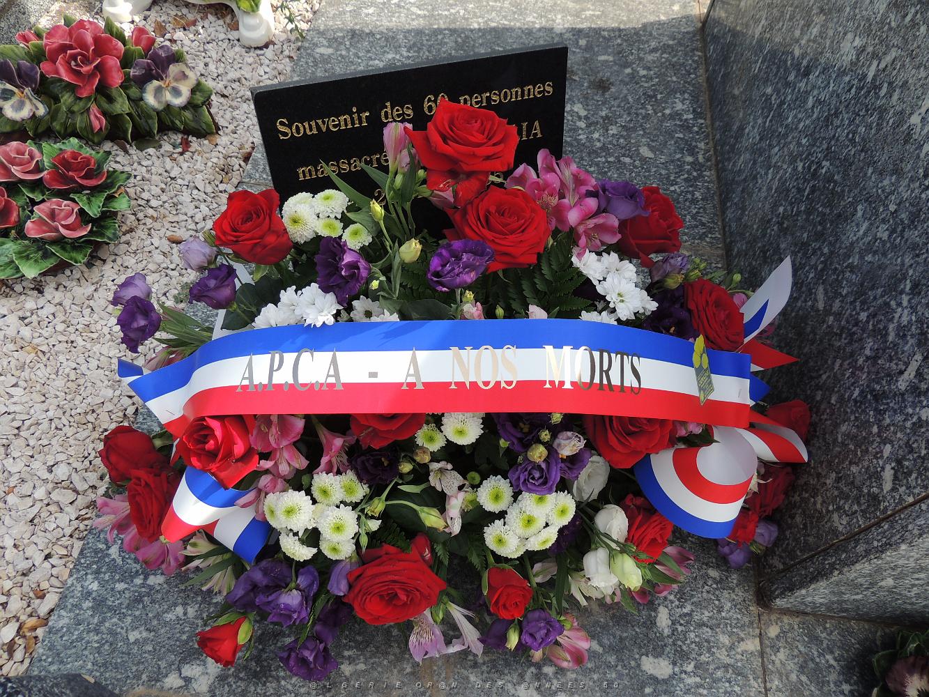 2019 08 20 HOMMAGE AUX VICTIMES DU MASSACRE A EL HALIA EN 1955 (6).JPG -           